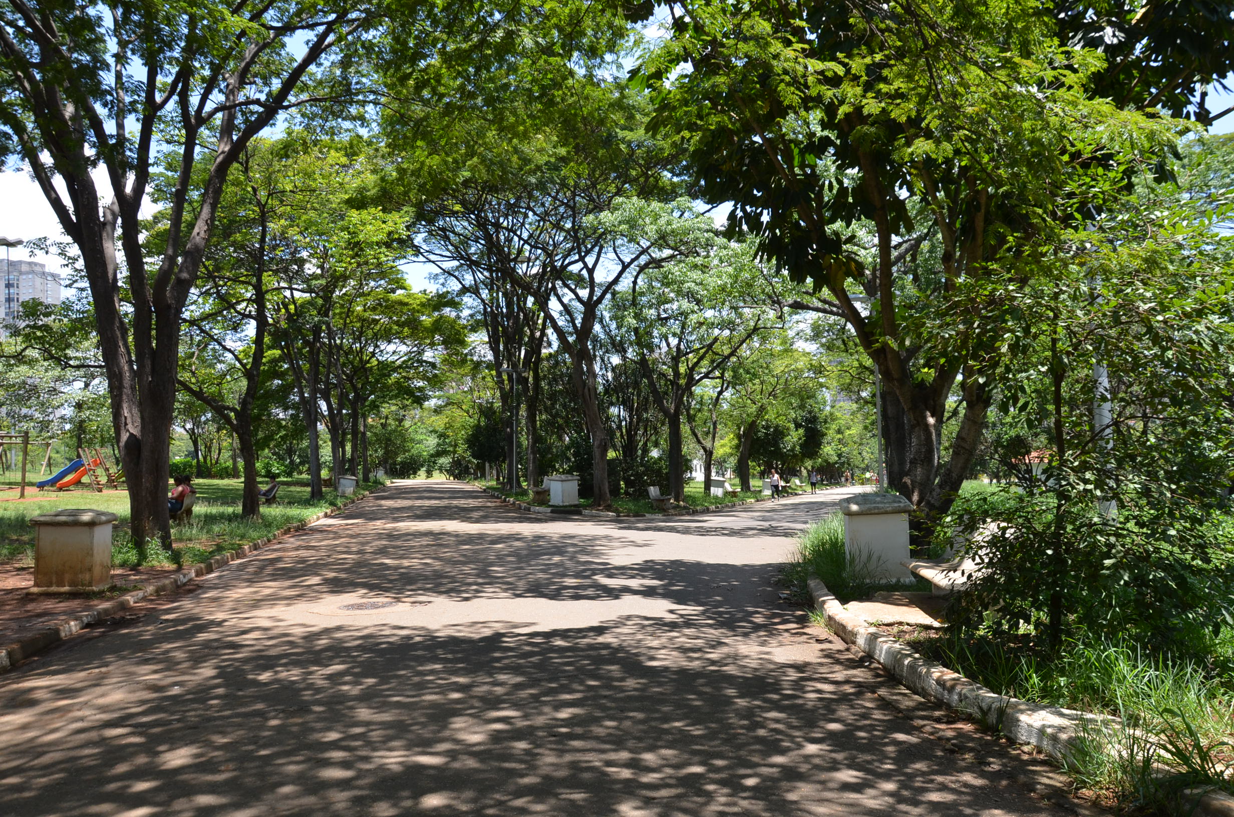 #ParaTodosVerem visualiza-se a imagem de uma área verde, com diversas árvores ao redor.